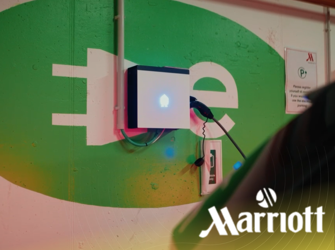 Ontwerp zonder titel (11)