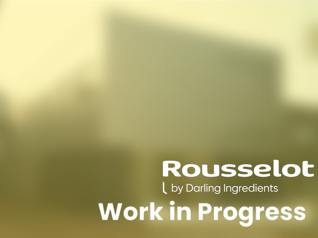 Ontwerp zonder titel (13)